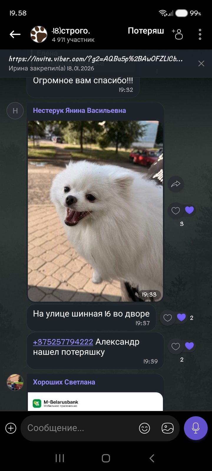 Найдена собака в Бобруйске — фото объявления