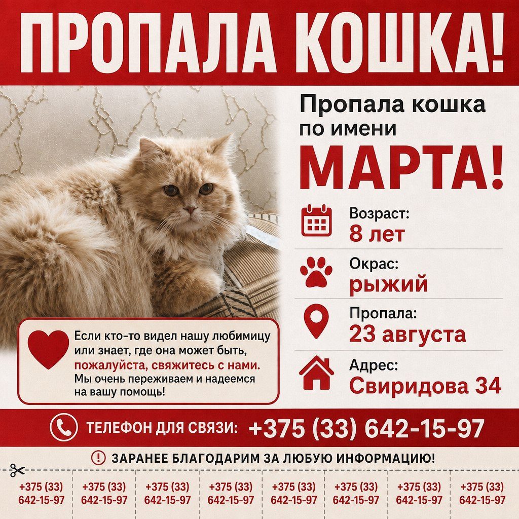 ПРОПАЛА КОШКА — Гомель