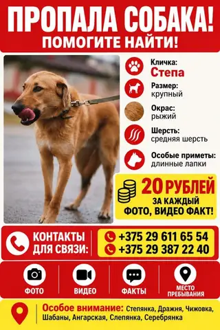 Пропала собака в Минске — Внимание! Потерялась собака!!!