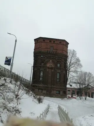 Найдена собака в Минске — В районе Минской старинной водонапорной башни бегает собачка с ошейником. Может, чья-то потеряшка?