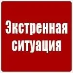 Объявление о питомце в Борисове: Беларусь. Борисовский район. Объявление о питомце в Борисове — Беларусь. Борисовский район.