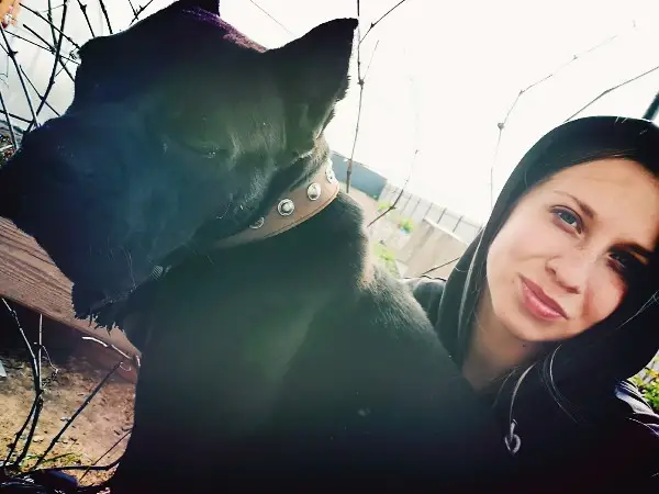 Пропала собака в Жодине — Здравствуйте, в агрогородке Будагова у нас убежал песик вчера, Люди кто живет или ездит по ближайшим…