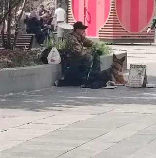 Найдена собака в Калинковичах — Москва
