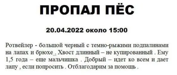 Пропала собака в Молодечно — Молодечненский район, д. Красное