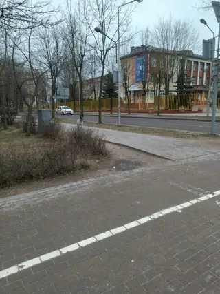 Найдена собака в Молодечно — Рядом с шестой школой в 11.00 собака , явно ищет хозяина