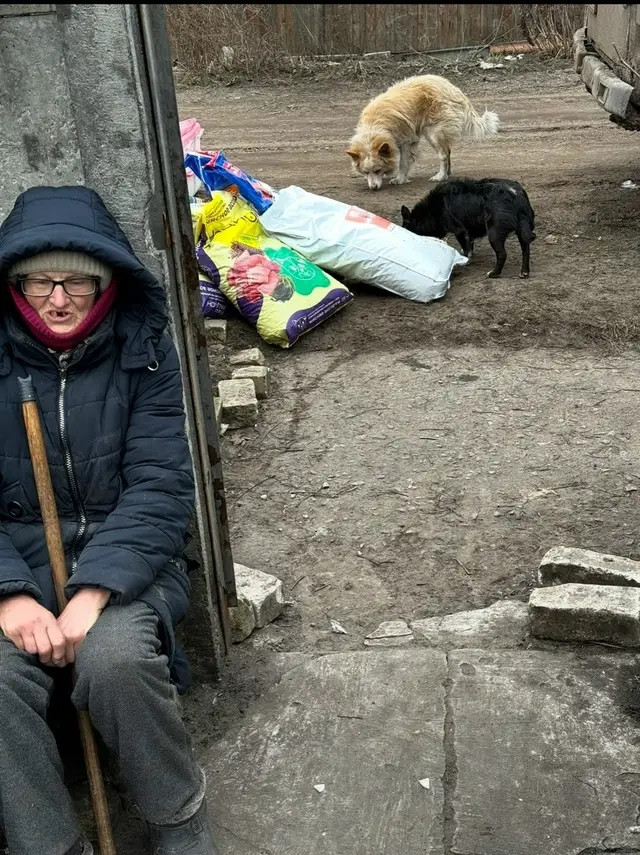 Найдена кошка в Лиде — В Лисичанске живет уже знакомая многим баба Надя — человек с очень добрым сердцем, но совсем плохим…