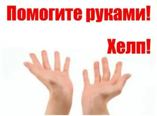 Найдена собака в Лиде — Информация от https://m.vk.ru/id581775104