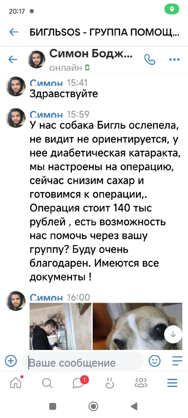 Найдена собака в Слониме — хозяевам собаки нужна финансовая помощь🆘