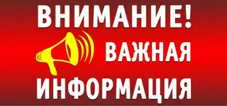 Найдена собака в Слониме — ВАЖНО‼