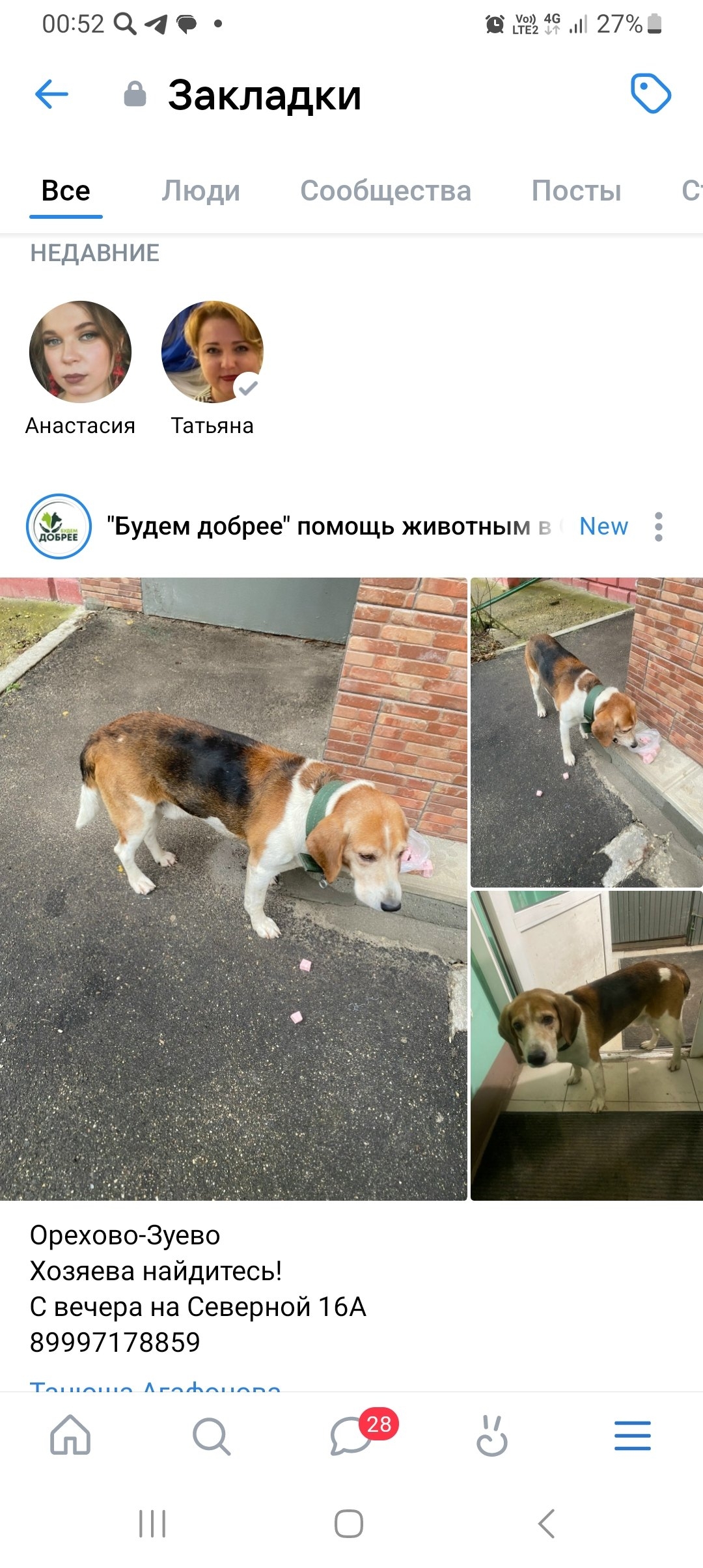 Найдена собака в Слониме — Орехово-Зуево