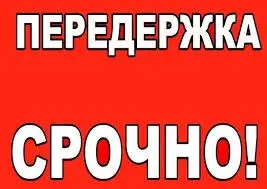 Найдена кошка в Орше — СРОЧНО!! ИЩЕМ ПЕРЕДЕРЖКУ ДЛЯ МОЛОДОГО КОТИКА.