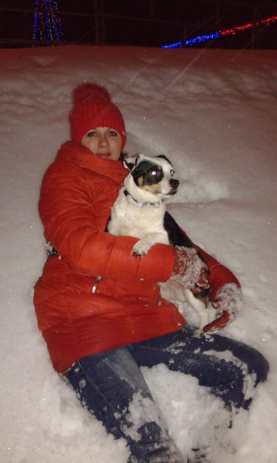 Найдена собака в Орше — Здравствуйте,нужна помощь !21 июня потерялась собачка в аг Лариновка,11 лет в семье,если кто-то видел…