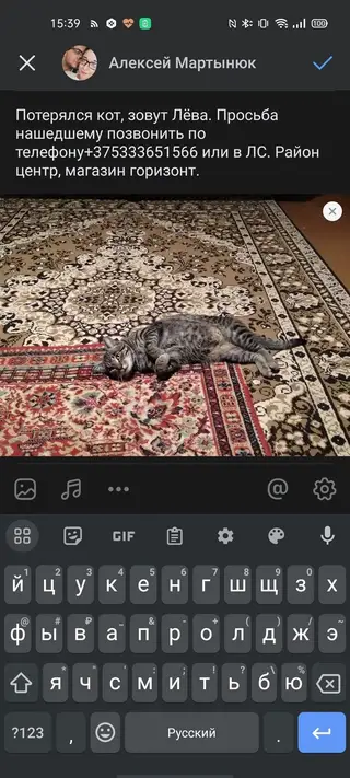 Пропала кошка в Новополоцке — фото объявления