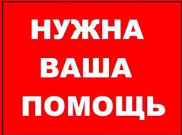 Найденная кошка в Смолевичах: Друзья и все все все ! 🆘🆘Очень нужна помощь! Был подобран 2-х месячный котенок. Сейчас он находится на… Найдена кошка в Смолевичах — Друзья и все все все ! 🆘🆘Очень нужна помощь! Был подобран 2-х месячный котенок. Сейчас он находится…
