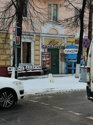 Пропала собака в Гомеле — В 10.35 на пересечении Красноармейской и проспекта Ленина бегала домашняя собака. По поведению видно…