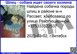 Найдена собака в Витебске — фото объявления