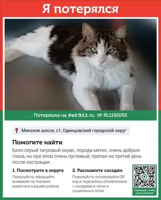 Пропала кошка в Марьиной Горке — фото объявления