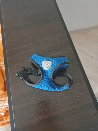 Найдена собака в Минске — https://lost-pet.net/ticket/229164/