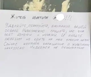 Найдена собака в Солигорске — Собака в опасности!
