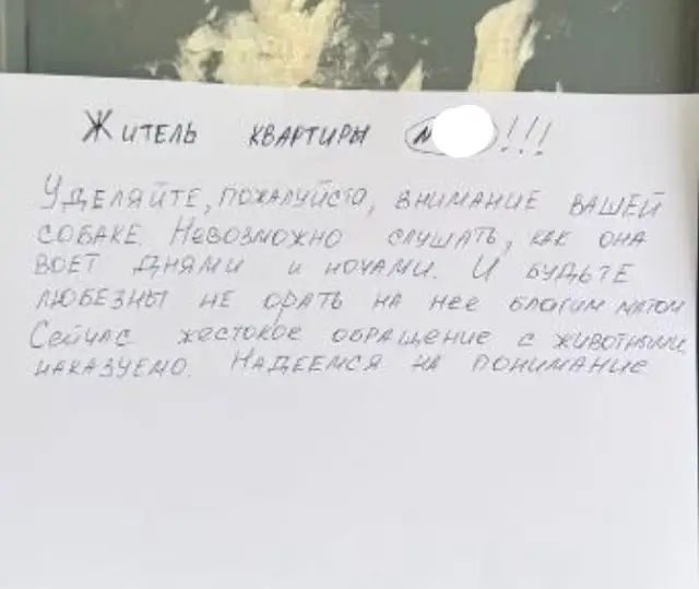 Найденная собака в Солигорске: Собака в опасности! Найдена собака в Солигорске — Собака в опасности!