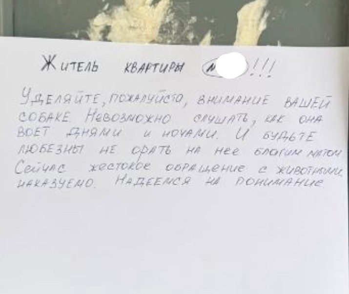 Найдена собака в Солигорске — Собака в опасности!