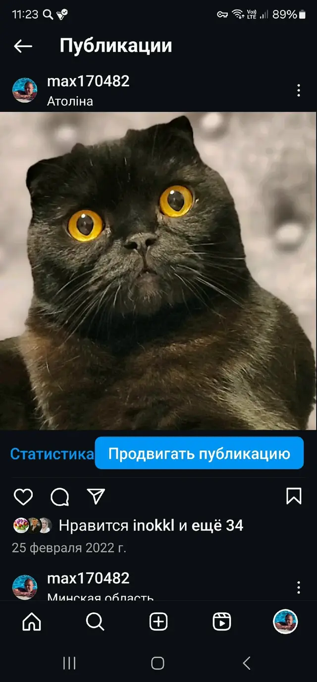 Пропала кошка в Солигорске — Добрый вечер! В деревне Кулаки, потерялся кот! Окрас черный, сам по себе пугливы!!! Он нам очень…