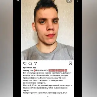 Найдена кошка в Бобруйске — СОС! НОВОСТИ ПО СУХАРЕВСКОМУ ЖИВОДЕРУ!