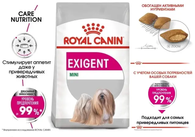Найдена собака в Несвиже — для маленьких приверед‼️🐕