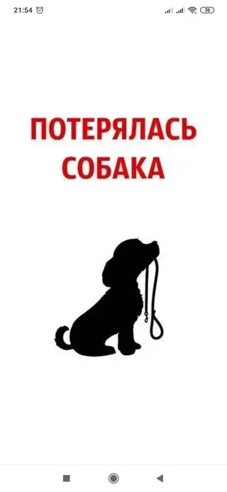 Найдена собака в Горках — фото объявления