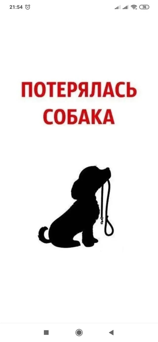 Найдена собака в Горках — фото объявления