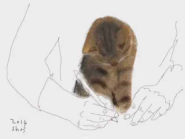 Найдена кошка в Лиде — Жила-была женщина по имени Ирина, которая однажды подобрала кошечку. «Подобрала — пристрою, в первый раз…