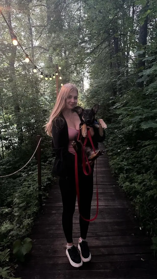 Пропала собака в Дзержинске — МО Дзержинский по улице Бондарево