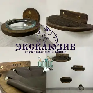 Объявление о питомце в Берёзе — Мы не пропали , а готовимся к выставке ) 21 февраля в Экспофоруме! Приходите познакомится лично 🥰