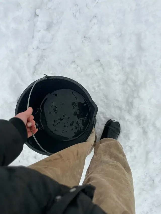 Пропала собака в Горках — Из смешного и интересного 🤫🤭