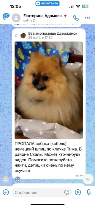 Найдена собака в Дзержинске — Ребят прошу вашей помощи , давайте поможем найти собаку пропала 28 ноября, его очень ждут дома…