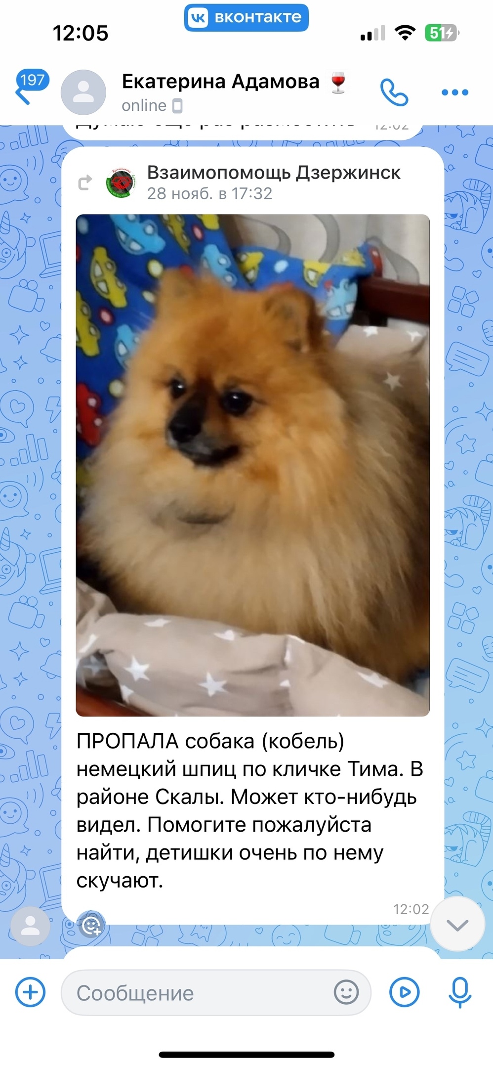 Найдена собака в Дзержинске — Ребят прошу вашей помощи , давайте поможем найти собаку пропала 28 ноября, его очень ждут дома…