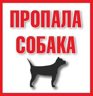 Пропала собака в Волковыске — Курган.