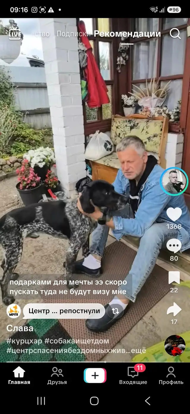 Найденная собака в Молодечно Найдена собака в Молодечно — фото объявления
