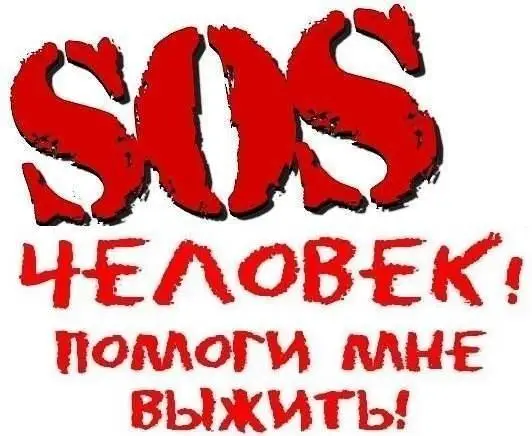 Найдена собака в Осиповичах — ОЧЕНЬ НУЖНА ПЕРЕДЕРЖКА!!!