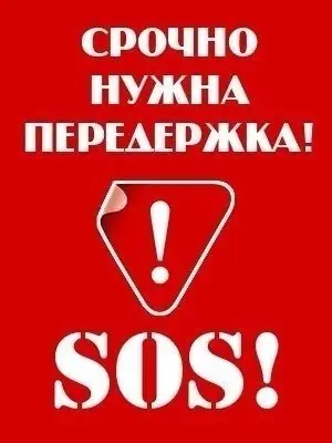 Найдена собака в Осиповичах — Срочно ищем хозяина или передержку для лайки !