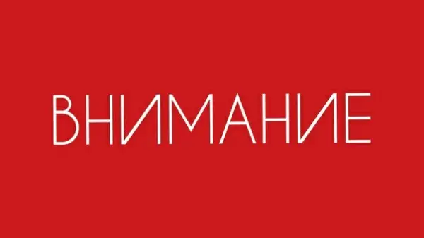 Найдена кошка в Орше — Срочно❗❗❗❗❗6. 05 19 Пропала кошка зовут Мила у неё синие глаза. г. Орша в р-не Флерова может ходить в…