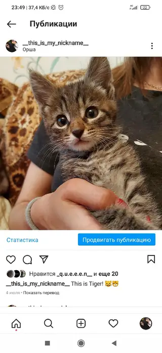 Пропала кошка в Орше — Здравствуйте,помогите пожалуйста, потерялся кот,скорее всего выпрыгнул с окна и убежал, он небольшой,3…