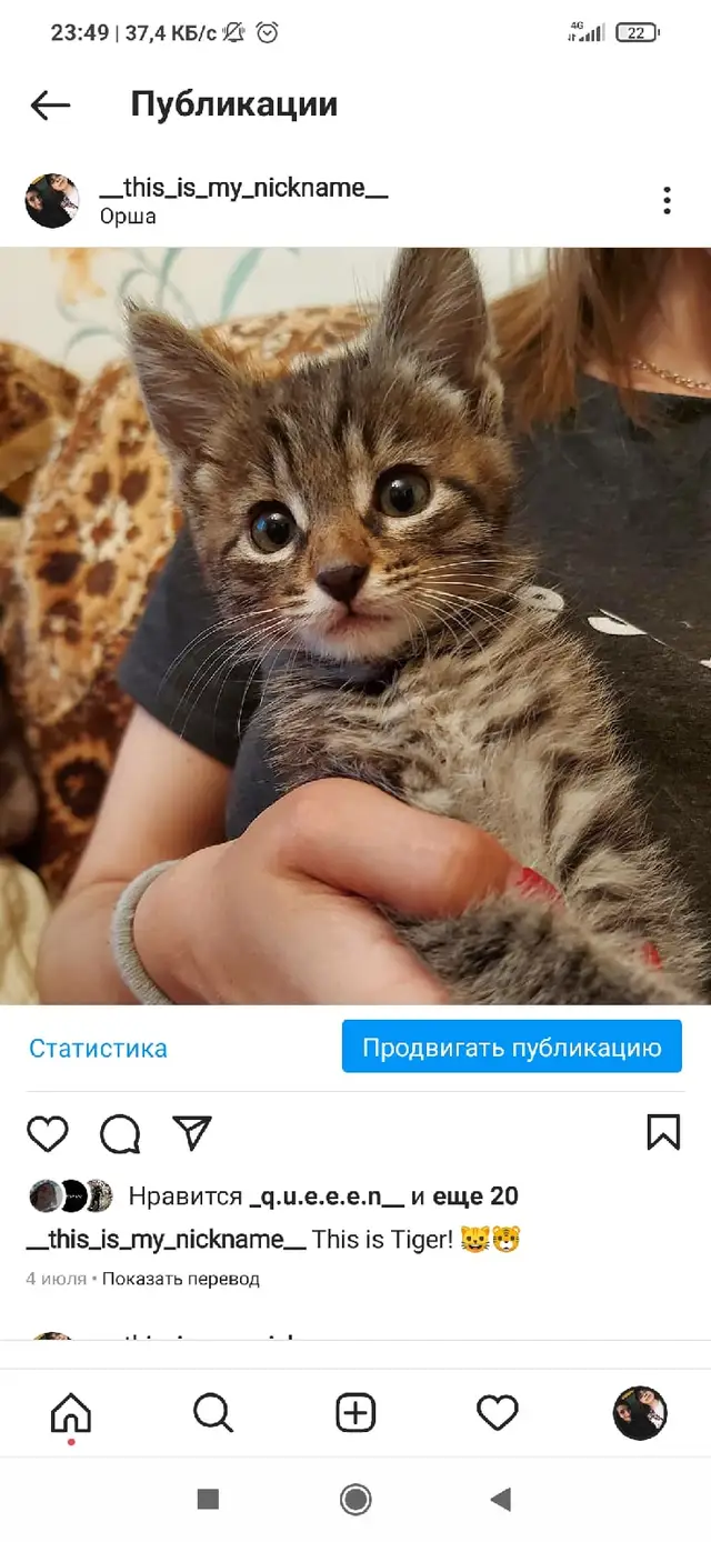 Пропала кошка в Орше — Здравствуйте,помогите пожалуйста, потерялся кот,скорее всего выпрыгнул с окна и убежал, он небольшой,3…