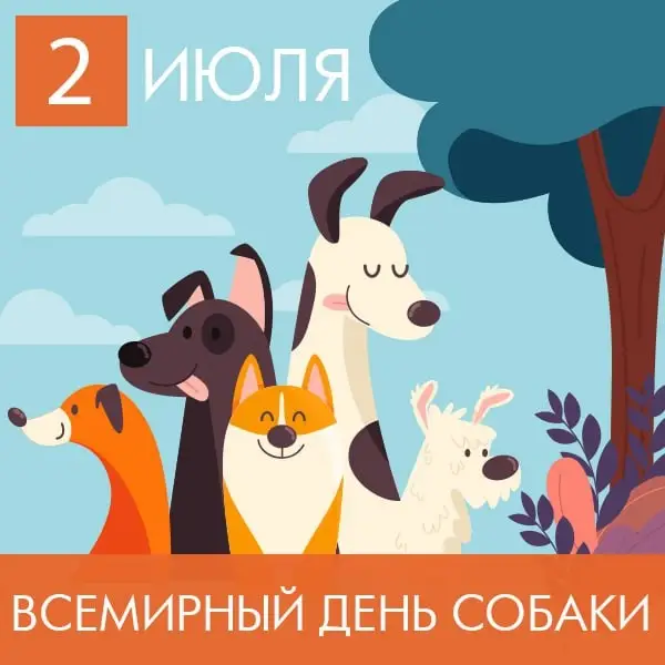 Найдена собака в Столбцах — Всемирный день собаки – 10 интересных фактов! 📚