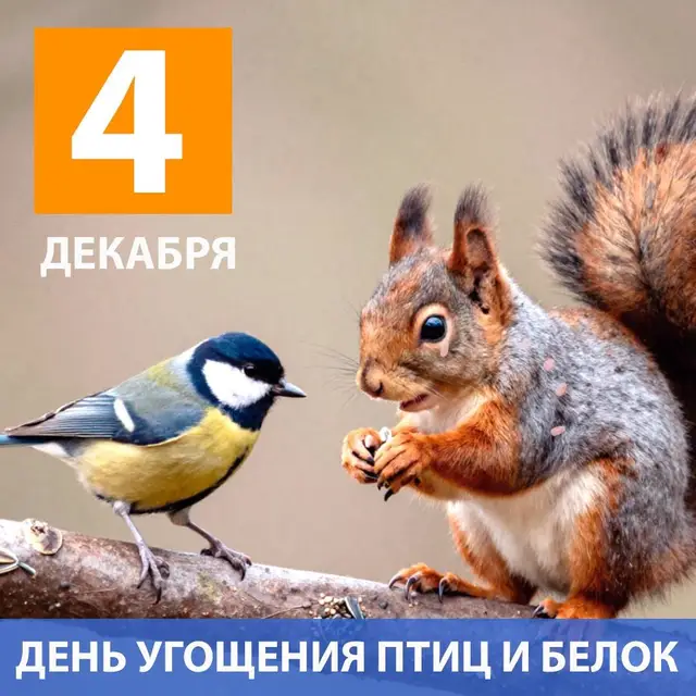 Найдена собака в Столбцах — Сегодня — неофициальный, но очень важный день: День угощения птиц и белок!