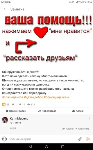Найдена собака в Жлобине — Могилев, Минск, Беларусь, Россия!