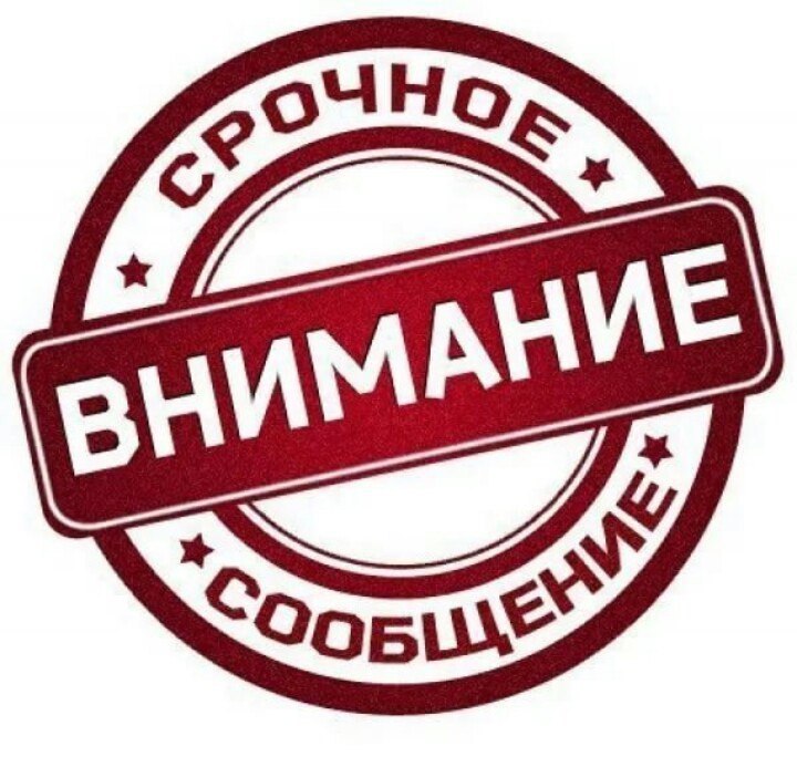 Найденная собака в Бобруйске: Бобруйчане!!!Пропала овчарка! Найдена собака в Бобруйске — Бобруйчане!!!Пропала овчарка!