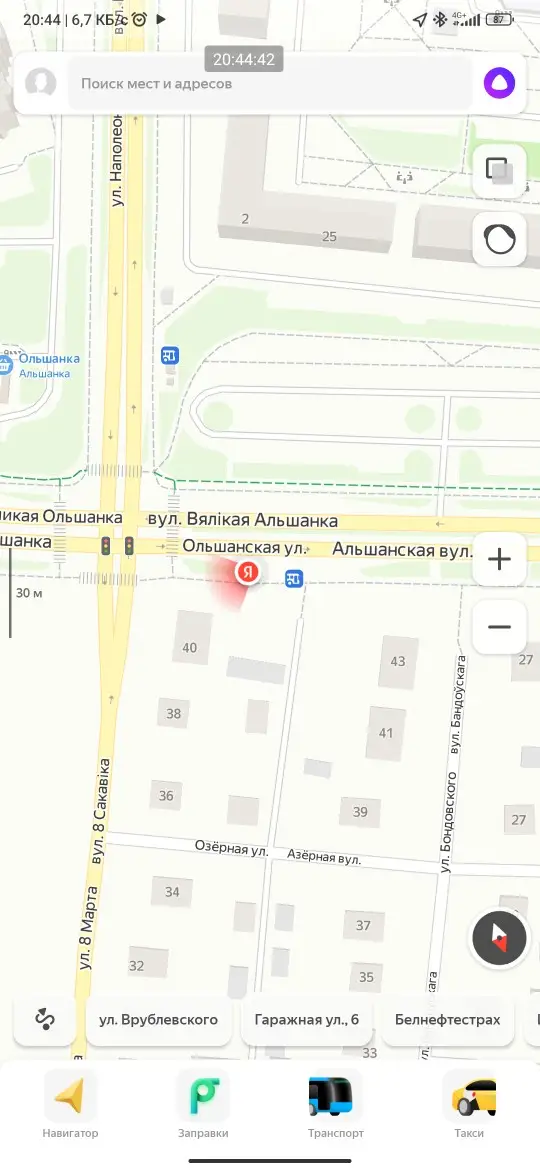 Пропала кошка в Гродно — На остановке улица Наполеона орды сидит красивый котик, ухоженный, видно молодой ещё. Возможно…