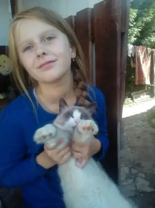 Пропала кошка в Кобрине — Пожалуйста помогите найти кота ,ребенок очень переживает .Пропал по улице Никольская г.Кобрин по…