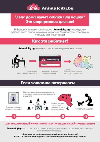 Объявление о питомце в Кобрине — Для всех владельцев животных!